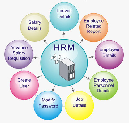 Phân hệ Human Resources của ERP