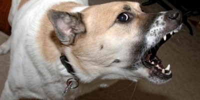 Addressing and Solving Problem Behavior